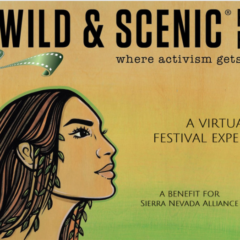 Virtual Wild and Scenic Film Festival